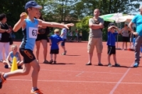 Ostschweiz Athletics
