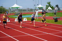 OA MK