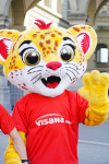 Visana