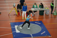 Halle SG