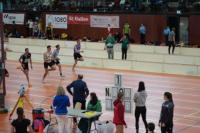 Halle SG