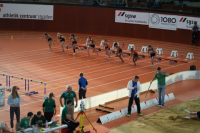 Halle SG