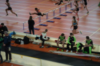 Halle SG