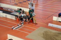Halle SG