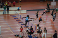 Halle SG