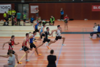 Halle SG