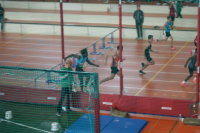 Halle SG