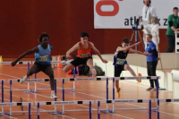Halle SG