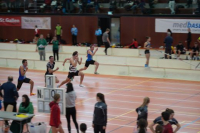 Halle SG