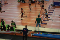 Halle SG