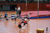 Halle SG