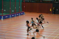Halle SG