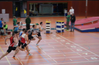 Halle SG