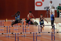 Halle SG