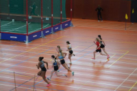 Halle SG