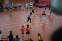 Halle SG
