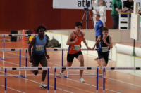 Halle SG