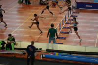 Halle SG