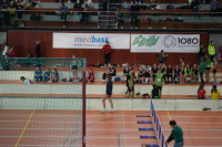 Halle SG