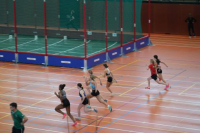 Halle SG