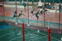 Halle SG