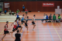 Halle SG