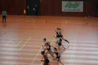 Halle SG