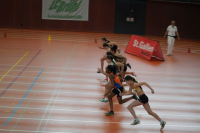 Halle SG
