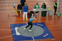 Halle SG