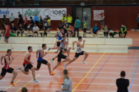 Halle SG