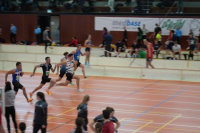 Halle SG