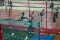 Halle SG