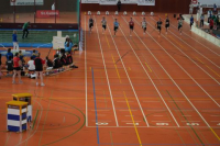 Halle SG
