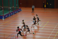 Halle SG