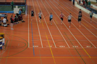 Halle SG
