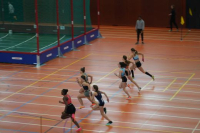 Halle SG