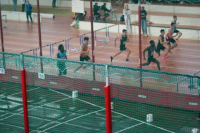 Halle SG