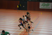 Halle SG