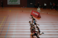 Halle SG