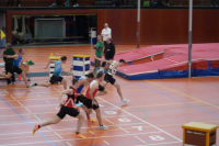 Halle SG