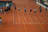 Halle SG
