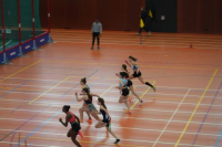 Halle SG