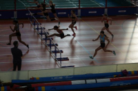 Halle SG