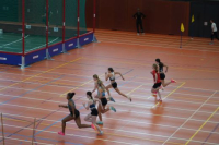 Halle SG