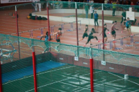 Halle SG