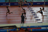 Halle SG