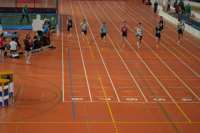 Halle SG