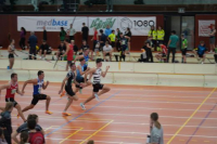 Halle SG