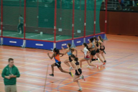 Halle SG