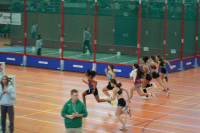 Halle SG